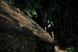 BIB: 
                            <button type="button" onclick="openModal(27965031)" class="btn btn-primary btn-sm float-right btn-popup" data-toggle="modal" data-target=".modal-high-quality">
                        <i class="fas fa-shopping-cart"></i> Add to Cart
                    </button>
                                            <button type="button" onclick="isThisMe(27965031, true)" class="btn btn-success btn-sm float-right btn-popup btn-isme hidden" data-toggle="tooltip" data-placement="bottom" title="นี่คือรูปของคุณใช่ไหม คลิกที่นี่เพื่อเอาเข้าอัลบั้ม">
                        <i class="fas fa-plus"></i> Add to album
                    </button>
                    <button type="button" onclick="isThisMe(27965031, false)" class="btn btn-warning btn-sm float-right btn-popup btn-isnotme hidden">
                        <i class="fas fa-ban"></i> Remove from album
                    </button>