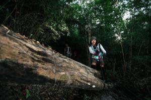 BIB: 
                            <button type="button" onclick="openModal(27960019)" class="btn btn-primary btn-sm float-right btn-popup" data-toggle="modal" data-target=".modal-high-quality">
                        <i class="fas fa-shopping-cart"></i> Add to Cart
                    </button>
                                            <button type="button" onclick="isThisMe(27960019, true)" class="btn btn-success btn-sm float-right btn-popup btn-isme hidden" data-toggle="tooltip" data-placement="bottom" title="นี่คือรูปของคุณใช่ไหม คลิกที่นี่เพื่อเอาเข้าอัลบั้ม">
                        <i class="fas fa-plus"></i> Add to album
                    </button>
                    <button type="button" onclick="isThisMe(27960019, false)" class="btn btn-warning btn-sm float-right btn-popup btn-isnotme hidden">
                        <i class="fas fa-ban"></i> Remove from album
                    </button>