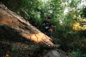 BIB: 
                            <button type="button" onclick="openModal(27947798)" class="btn btn-primary btn-sm float-right btn-popup" data-toggle="modal" data-target=".modal-high-quality">
                        <i class="fas fa-shopping-cart"></i> Add to Cart
                    </button>
                                            <button type="button" onclick="isThisMe(27947798, true)" class="btn btn-success btn-sm float-right btn-popup btn-isme hidden" data-toggle="tooltip" data-placement="bottom" title="นี่คือรูปของคุณใช่ไหม คลิกที่นี่เพื่อเอาเข้าอัลบั้ม">
                        <i class="fas fa-plus"></i> Add to album
                    </button>
                    <button type="button" onclick="isThisMe(27947798, false)" class="btn btn-warning btn-sm float-right btn-popup btn-isnotme hidden">
                        <i class="fas fa-ban"></i> Remove from album
                    </button>