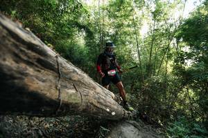 BIB: 
                            <button type="button" onclick="openModal(27935349)" class="btn btn-primary btn-sm float-right btn-popup" data-toggle="modal" data-target=".modal-high-quality">
                        <i class="fas fa-shopping-cart"></i> Add to Cart
                    </button>
                                            <button type="button" onclick="isThisMe(27935349, true)" class="btn btn-success btn-sm float-right btn-popup btn-isme hidden" data-toggle="tooltip" data-placement="bottom" title="นี่คือรูปของคุณใช่ไหม คลิกที่นี่เพื่อเอาเข้าอัลบั้ม">
                        <i class="fas fa-plus"></i> Add to album
                    </button>
                    <button type="button" onclick="isThisMe(27935349, false)" class="btn btn-warning btn-sm float-right btn-popup btn-isnotme hidden">
                        <i class="fas fa-ban"></i> Remove from album
                    </button>