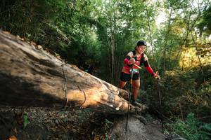 BIB: 
                            <button type="button" onclick="openModal(27941737)" class="btn btn-primary btn-sm float-right btn-popup" data-toggle="modal" data-target=".modal-high-quality">
                        <i class="fas fa-shopping-cart"></i> Add to Cart
                    </button>
                                            <button type="button" onclick="isThisMe(27941737, true)" class="btn btn-success btn-sm float-right btn-popup btn-isme hidden" data-toggle="tooltip" data-placement="bottom" title="นี่คือรูปของคุณใช่ไหม คลิกที่นี่เพื่อเอาเข้าอัลบั้ม">
                        <i class="fas fa-plus"></i> Add to album
                    </button>
                    <button type="button" onclick="isThisMe(27941737, false)" class="btn btn-warning btn-sm float-right btn-popup btn-isnotme hidden">
                        <i class="fas fa-ban"></i> Remove from album
                    </button>