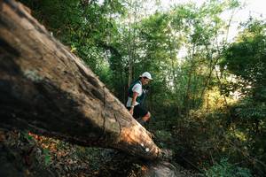 BIB: 
                            <button type="button" onclick="openModal(27938477)" class="btn btn-primary btn-sm float-right btn-popup" data-toggle="modal" data-target=".modal-high-quality">
                        <i class="fas fa-shopping-cart"></i> Add to Cart
                    </button>
                                            <button type="button" onclick="isThisMe(27938477, true)" class="btn btn-success btn-sm float-right btn-popup btn-isme hidden" data-toggle="tooltip" data-placement="bottom" title="นี่คือรูปของคุณใช่ไหม คลิกที่นี่เพื่อเอาเข้าอัลบั้ม">
                        <i class="fas fa-plus"></i> Add to album
                    </button>
                    <button type="button" onclick="isThisMe(27938477, false)" class="btn btn-warning btn-sm float-right btn-popup btn-isnotme hidden">
                        <i class="fas fa-ban"></i> Remove from album
                    </button>