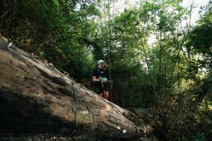 BIB: 
                            <button type="button" onclick="openModal(27935605)" class="btn btn-primary btn-sm float-right btn-popup" data-toggle="modal" data-target=".modal-high-quality">
                        <i class="fas fa-shopping-cart"></i> Add to Cart
                    </button>
                                            <button type="button" onclick="isThisMe(27935605, true)" class="btn btn-success btn-sm float-right btn-popup btn-isme hidden" data-toggle="tooltip" data-placement="bottom" title="นี่คือรูปของคุณใช่ไหม คลิกที่นี่เพื่อเอาเข้าอัลบั้ม">
                        <i class="fas fa-plus"></i> Add to album
                    </button>
                    <button type="button" onclick="isThisMe(27935605, false)" class="btn btn-warning btn-sm float-right btn-popup btn-isnotme hidden">
                        <i class="fas fa-ban"></i> Remove from album
                    </button>