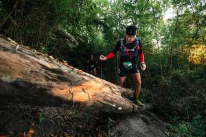 BIB: 
                            <button type="button" onclick="openModal(27949046)" class="btn btn-primary btn-sm float-right btn-popup" data-toggle="modal" data-target=".modal-high-quality">
                        <i class="fas fa-shopping-cart"></i> Add to Cart
                    </button>
                                            <button type="button" onclick="isThisMe(27949046, true)" class="btn btn-success btn-sm float-right btn-popup btn-isme hidden" data-toggle="tooltip" data-placement="bottom" title="นี่คือรูปของคุณใช่ไหม คลิกที่นี่เพื่อเอาเข้าอัลบั้ม">
                        <i class="fas fa-plus"></i> Add to album
                    </button>
                    <button type="button" onclick="isThisMe(27949046, false)" class="btn btn-warning btn-sm float-right btn-popup btn-isnotme hidden">
                        <i class="fas fa-ban"></i> Remove from album
                    </button>