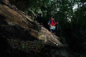 BIB: 
                            <button type="button" onclick="openModal(27960465)" class="btn btn-primary btn-sm float-right btn-popup" data-toggle="modal" data-target=".modal-high-quality">
                        <i class="fas fa-shopping-cart"></i> Add to Cart
                    </button>
                                            <button type="button" onclick="isThisMe(27960465, true)" class="btn btn-success btn-sm float-right btn-popup btn-isme hidden" data-toggle="tooltip" data-placement="bottom" title="นี่คือรูปของคุณใช่ไหม คลิกที่นี่เพื่อเอาเข้าอัลบั้ม">
                        <i class="fas fa-plus"></i> Add to album
                    </button>
                    <button type="button" onclick="isThisMe(27960465, false)" class="btn btn-warning btn-sm float-right btn-popup btn-isnotme hidden">
                        <i class="fas fa-ban"></i> Remove from album
                    </button>