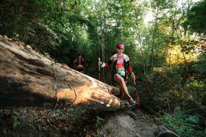 BIB: 
                            <button type="button" onclick="openModal(27941878)" class="btn btn-primary btn-sm float-right btn-popup" data-toggle="modal" data-target=".modal-high-quality">
                        <i class="fas fa-shopping-cart"></i> Add to Cart
                    </button>
                                            <button type="button" onclick="isThisMe(27941878, true)" class="btn btn-success btn-sm float-right btn-popup btn-isme hidden" data-toggle="tooltip" data-placement="bottom" title="นี่คือรูปของคุณใช่ไหม คลิกที่นี่เพื่อเอาเข้าอัลบั้ม">
                        <i class="fas fa-plus"></i> Add to album
                    </button>
                    <button type="button" onclick="isThisMe(27941878, false)" class="btn btn-warning btn-sm float-right btn-popup btn-isnotme hidden">
                        <i class="fas fa-ban"></i> Remove from album
                    </button>