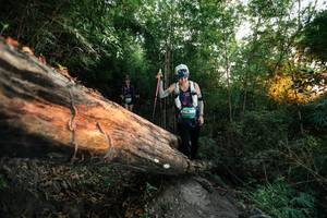 BIB: 
                            <button type="button" onclick="openModal(27957999)" class="btn btn-primary btn-sm float-right btn-popup" data-toggle="modal" data-target=".modal-high-quality">
                        <i class="fas fa-shopping-cart"></i> Add to Cart
                    </button>
                                            <button type="button" onclick="isThisMe(27957999, true)" class="btn btn-success btn-sm float-right btn-popup btn-isme hidden" data-toggle="tooltip" data-placement="bottom" title="นี่คือรูปของคุณใช่ไหม คลิกที่นี่เพื่อเอาเข้าอัลบั้ม">
                        <i class="fas fa-plus"></i> Add to album
                    </button>
                    <button type="button" onclick="isThisMe(27957999, false)" class="btn btn-warning btn-sm float-right btn-popup btn-isnotme hidden">
                        <i class="fas fa-ban"></i> Remove from album
                    </button>