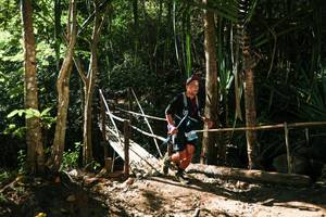 BIB: 
                            <button type="button" onclick="openModal(27956042)" class="btn btn-primary btn-sm float-right btn-popup" data-toggle="modal" data-target=".modal-high-quality">
                        <i class="fas fa-shopping-cart"></i> Add to Cart
                    </button>
                                            <button type="button" onclick="isThisMe(27956042, true)" class="btn btn-success btn-sm float-right btn-popup btn-isme hidden" data-toggle="tooltip" data-placement="bottom" title="นี่คือรูปของคุณใช่ไหม คลิกที่นี่เพื่อเอาเข้าอัลบั้ม">
                        <i class="fas fa-plus"></i> Add to album
                    </button>
                    <button type="button" onclick="isThisMe(27956042, false)" class="btn btn-warning btn-sm float-right btn-popup btn-isnotme hidden">
                        <i class="fas fa-ban"></i> Remove from album
                    </button>