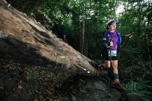 BIB: 
                            <button type="button" onclick="openModal(27959118)" class="btn btn-primary btn-sm float-right btn-popup" data-toggle="modal" data-target=".modal-high-quality">
                        <i class="fas fa-shopping-cart"></i> Add to Cart
                    </button>
                                            <button type="button" onclick="isThisMe(27959118, true)" class="btn btn-success btn-sm float-right btn-popup btn-isme hidden" data-toggle="tooltip" data-placement="bottom" title="นี่คือรูปของคุณใช่ไหม คลิกที่นี่เพื่อเอาเข้าอัลบั้ม">
                        <i class="fas fa-plus"></i> Add to album
                    </button>
                    <button type="button" onclick="isThisMe(27959118, false)" class="btn btn-warning btn-sm float-right btn-popup btn-isnotme hidden">
                        <i class="fas fa-ban"></i> Remove from album
                    </button>