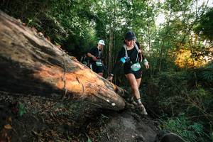 BIB: 
                            <button type="button" onclick="openModal(27949506)" class="btn btn-primary btn-sm float-right btn-popup" data-toggle="modal" data-target=".modal-high-quality">
                        <i class="fas fa-shopping-cart"></i> Add to Cart
                    </button>
                                            <button type="button" onclick="isThisMe(27949506, true)" class="btn btn-success btn-sm float-right btn-popup btn-isme hidden" data-toggle="tooltip" data-placement="bottom" title="นี่คือรูปของคุณใช่ไหม คลิกที่นี่เพื่อเอาเข้าอัลบั้ม">
                        <i class="fas fa-plus"></i> Add to album
                    </button>
                    <button type="button" onclick="isThisMe(27949506, false)" class="btn btn-warning btn-sm float-right btn-popup btn-isnotme hidden">
                        <i class="fas fa-ban"></i> Remove from album
                    </button>