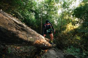 BIB: 
                            <button type="button" onclick="openModal(27937396)" class="btn btn-primary btn-sm float-right btn-popup" data-toggle="modal" data-target=".modal-high-quality">
                        <i class="fas fa-shopping-cart"></i> Add to Cart
                    </button>
                                            <button type="button" onclick="isThisMe(27937396, true)" class="btn btn-success btn-sm float-right btn-popup btn-isme hidden" data-toggle="tooltip" data-placement="bottom" title="นี่คือรูปของคุณใช่ไหม คลิกที่นี่เพื่อเอาเข้าอัลบั้ม">
                        <i class="fas fa-plus"></i> Add to album
                    </button>
                    <button type="button" onclick="isThisMe(27937396, false)" class="btn btn-warning btn-sm float-right btn-popup btn-isnotme hidden">
                        <i class="fas fa-ban"></i> Remove from album
                    </button>