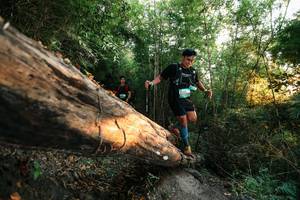 BIB: 
                            <button type="button" onclick="openModal(27947707)" class="btn btn-primary btn-sm float-right btn-popup" data-toggle="modal" data-target=".modal-high-quality">
                        <i class="fas fa-shopping-cart"></i> Add to Cart
                    </button>
                                            <button type="button" onclick="isThisMe(27947707, true)" class="btn btn-success btn-sm float-right btn-popup btn-isme hidden" data-toggle="tooltip" data-placement="bottom" title="นี่คือรูปของคุณใช่ไหม คลิกที่นี่เพื่อเอาเข้าอัลบั้ม">
                        <i class="fas fa-plus"></i> Add to album
                    </button>
                    <button type="button" onclick="isThisMe(27947707, false)" class="btn btn-warning btn-sm float-right btn-popup btn-isnotme hidden">
                        <i class="fas fa-ban"></i> Remove from album
                    </button>