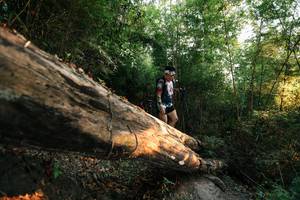 BIB: 
                            <button type="button" onclick="openModal(27941305)" class="btn btn-primary btn-sm float-right btn-popup" data-toggle="modal" data-target=".modal-high-quality">
                        <i class="fas fa-shopping-cart"></i> Add to Cart
                    </button>
                                            <button type="button" onclick="isThisMe(27941305, true)" class="btn btn-success btn-sm float-right btn-popup btn-isme hidden" data-toggle="tooltip" data-placement="bottom" title="นี่คือรูปของคุณใช่ไหม คลิกที่นี่เพื่อเอาเข้าอัลบั้ม">
                        <i class="fas fa-plus"></i> Add to album
                    </button>
                    <button type="button" onclick="isThisMe(27941305, false)" class="btn btn-warning btn-sm float-right btn-popup btn-isnotme hidden">
                        <i class="fas fa-ban"></i> Remove from album
                    </button>