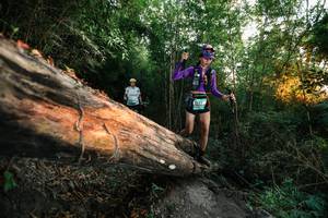 BIB: 
                            <button type="button" onclick="openModal(27957979)" class="btn btn-primary btn-sm float-right btn-popup" data-toggle="modal" data-target=".modal-high-quality">
                        <i class="fas fa-shopping-cart"></i> Add to Cart
                    </button>
                                            <button type="button" onclick="isThisMe(27957979, true)" class="btn btn-success btn-sm float-right btn-popup btn-isme hidden" data-toggle="tooltip" data-placement="bottom" title="นี่คือรูปของคุณใช่ไหม คลิกที่นี่เพื่อเอาเข้าอัลบั้ม">
                        <i class="fas fa-plus"></i> Add to album
                    </button>
                    <button type="button" onclick="isThisMe(27957979, false)" class="btn btn-warning btn-sm float-right btn-popup btn-isnotme hidden">
                        <i class="fas fa-ban"></i> Remove from album
                    </button>