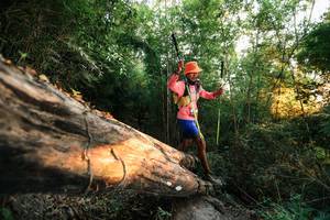 BIB: 
                            <button type="button" onclick="openModal(27948208)" class="btn btn-primary btn-sm float-right btn-popup" data-toggle="modal" data-target=".modal-high-quality">
                        <i class="fas fa-shopping-cart"></i> Add to Cart
                    </button>
                                            <button type="button" onclick="isThisMe(27948208, true)" class="btn btn-success btn-sm float-right btn-popup btn-isme hidden" data-toggle="tooltip" data-placement="bottom" title="นี่คือรูปของคุณใช่ไหม คลิกที่นี่เพื่อเอาเข้าอัลบั้ม">
                        <i class="fas fa-plus"></i> Add to album
                    </button>
                    <button type="button" onclick="isThisMe(27948208, false)" class="btn btn-warning btn-sm float-right btn-popup btn-isnotme hidden">
                        <i class="fas fa-ban"></i> Remove from album
                    </button>