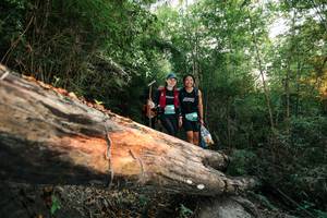 BIB: 
                            <button type="button" onclick="openModal(27958085)" class="btn btn-primary btn-sm float-right btn-popup" data-toggle="modal" data-target=".modal-high-quality">
                        <i class="fas fa-shopping-cart"></i> Add to Cart
                    </button>
                                            <button type="button" onclick="isThisMe(27958085, true)" class="btn btn-success btn-sm float-right btn-popup btn-isme hidden" data-toggle="tooltip" data-placement="bottom" title="นี่คือรูปของคุณใช่ไหม คลิกที่นี่เพื่อเอาเข้าอัลบั้ม">
                        <i class="fas fa-plus"></i> Add to album
                    </button>
                    <button type="button" onclick="isThisMe(27958085, false)" class="btn btn-warning btn-sm float-right btn-popup btn-isnotme hidden">
                        <i class="fas fa-ban"></i> Remove from album
                    </button>