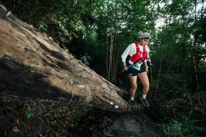 BIB: 
                            <button type="button" onclick="openModal(27959595)" class="btn btn-primary btn-sm float-right btn-popup" data-toggle="modal" data-target=".modal-high-quality">
                        <i class="fas fa-shopping-cart"></i> Add to Cart
                    </button>
                                            <button type="button" onclick="isThisMe(27959595, true)" class="btn btn-success btn-sm float-right btn-popup btn-isme hidden" data-toggle="tooltip" data-placement="bottom" title="นี่คือรูปของคุณใช่ไหม คลิกที่นี่เพื่อเอาเข้าอัลบั้ม">
                        <i class="fas fa-plus"></i> Add to album
                    </button>
                    <button type="button" onclick="isThisMe(27959595, false)" class="btn btn-warning btn-sm float-right btn-popup btn-isnotme hidden">
                        <i class="fas fa-ban"></i> Remove from album
                    </button>