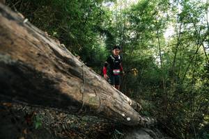 BIB: 
                            <button type="button" onclick="openModal(27935415)" class="btn btn-primary btn-sm float-right btn-popup" data-toggle="modal" data-target=".modal-high-quality">
                        <i class="fas fa-shopping-cart"></i> Add to Cart
                    </button>
                                            <button type="button" onclick="isThisMe(27935415, true)" class="btn btn-success btn-sm float-right btn-popup btn-isme hidden" data-toggle="tooltip" data-placement="bottom" title="นี่คือรูปของคุณใช่ไหม คลิกที่นี่เพื่อเอาเข้าอัลบั้ม">
                        <i class="fas fa-plus"></i> Add to album
                    </button>
                    <button type="button" onclick="isThisMe(27935415, false)" class="btn btn-warning btn-sm float-right btn-popup btn-isnotme hidden">
                        <i class="fas fa-ban"></i> Remove from album
                    </button>