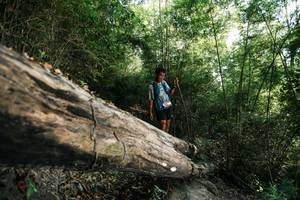 BIB: 
                            <button type="button" onclick="openModal(27934616)" class="btn btn-primary btn-sm float-right btn-popup" data-toggle="modal" data-target=".modal-high-quality">
                        <i class="fas fa-shopping-cart"></i> Add to Cart
                    </button>
                                            <button type="button" onclick="isThisMe(27934616, true)" class="btn btn-success btn-sm float-right btn-popup btn-isme hidden" data-toggle="tooltip" data-placement="bottom" title="นี่คือรูปของคุณใช่ไหม คลิกที่นี่เพื่อเอาเข้าอัลบั้ม">
                        <i class="fas fa-plus"></i> Add to album
                    </button>
                    <button type="button" onclick="isThisMe(27934616, false)" class="btn btn-warning btn-sm float-right btn-popup btn-isnotme hidden">
                        <i class="fas fa-ban"></i> Remove from album
                    </button>