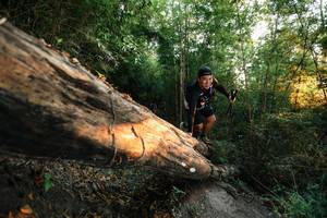 BIB: 
                            <button type="button" onclick="openModal(27948156)" class="btn btn-primary btn-sm float-right btn-popup" data-toggle="modal" data-target=".modal-high-quality">
                        <i class="fas fa-shopping-cart"></i> Add to Cart
                    </button>
                                            <button type="button" onclick="isThisMe(27948156, true)" class="btn btn-success btn-sm float-right btn-popup btn-isme hidden" data-toggle="tooltip" data-placement="bottom" title="นี่คือรูปของคุณใช่ไหม คลิกที่นี่เพื่อเอาเข้าอัลบั้ม">
                        <i class="fas fa-plus"></i> Add to album
                    </button>
                    <button type="button" onclick="isThisMe(27948156, false)" class="btn btn-warning btn-sm float-right btn-popup btn-isnotme hidden">
                        <i class="fas fa-ban"></i> Remove from album
                    </button>