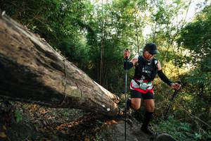 BIB: 
                            <button type="button" onclick="openModal(27936208)" class="btn btn-primary btn-sm float-right btn-popup" data-toggle="modal" data-target=".modal-high-quality">
                        <i class="fas fa-shopping-cart"></i> Add to Cart
                    </button>
                                            <button type="button" onclick="isThisMe(27936208, true)" class="btn btn-success btn-sm float-right btn-popup btn-isme hidden" data-toggle="tooltip" data-placement="bottom" title="นี่คือรูปของคุณใช่ไหม คลิกที่นี่เพื่อเอาเข้าอัลบั้ม">
                        <i class="fas fa-plus"></i> Add to album
                    </button>
                    <button type="button" onclick="isThisMe(27936208, false)" class="btn btn-warning btn-sm float-right btn-popup btn-isnotme hidden">
                        <i class="fas fa-ban"></i> Remove from album
                    </button>