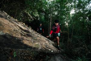 BIB: 
                            <button type="button" onclick="openModal(27959885)" class="btn btn-primary btn-sm float-right btn-popup" data-toggle="modal" data-target=".modal-high-quality">
                        <i class="fas fa-shopping-cart"></i> Add to Cart
                    </button>
                                            <button type="button" onclick="isThisMe(27959885, true)" class="btn btn-success btn-sm float-right btn-popup btn-isme hidden" data-toggle="tooltip" data-placement="bottom" title="นี่คือรูปของคุณใช่ไหม คลิกที่นี่เพื่อเอาเข้าอัลบั้ม">
                        <i class="fas fa-plus"></i> Add to album
                    </button>
                    <button type="button" onclick="isThisMe(27959885, false)" class="btn btn-warning btn-sm float-right btn-popup btn-isnotme hidden">
                        <i class="fas fa-ban"></i> Remove from album
                    </button>