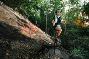 BIB: 
                            <button type="button" onclick="openModal(27958612)" class="btn btn-primary btn-sm float-right btn-popup" data-toggle="modal" data-target=".modal-high-quality">
                        <i class="fas fa-shopping-cart"></i> Add to Cart
                    </button>
                                            <button type="button" onclick="isThisMe(27958612, true)" class="btn btn-success btn-sm float-right btn-popup btn-isme hidden" data-toggle="tooltip" data-placement="bottom" title="นี่คือรูปของคุณใช่ไหม คลิกที่นี่เพื่อเอาเข้าอัลบั้ม">
                        <i class="fas fa-plus"></i> Add to album
                    </button>
                    <button type="button" onclick="isThisMe(27958612, false)" class="btn btn-warning btn-sm float-right btn-popup btn-isnotme hidden">
                        <i class="fas fa-ban"></i> Remove from album
                    </button>