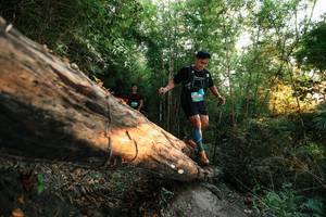 BIB: 
                            <button type="button" onclick="openModal(27947727)" class="btn btn-primary btn-sm float-right btn-popup" data-toggle="modal" data-target=".modal-high-quality">
                        <i class="fas fa-shopping-cart"></i> Add to Cart
                    </button>
                                            <button type="button" onclick="isThisMe(27947727, true)" class="btn btn-success btn-sm float-right btn-popup btn-isme hidden" data-toggle="tooltip" data-placement="bottom" title="นี่คือรูปของคุณใช่ไหม คลิกที่นี่เพื่อเอาเข้าอัลบั้ม">
                        <i class="fas fa-plus"></i> Add to album
                    </button>
                    <button type="button" onclick="isThisMe(27947727, false)" class="btn btn-warning btn-sm float-right btn-popup btn-isnotme hidden">
                        <i class="fas fa-ban"></i> Remove from album
                    </button>