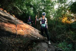 BIB: 
                            <button type="button" onclick="openModal(27957996)" class="btn btn-primary btn-sm float-right btn-popup" data-toggle="modal" data-target=".modal-high-quality">
                        <i class="fas fa-shopping-cart"></i> Add to Cart
                    </button>
                                            <button type="button" onclick="isThisMe(27957996, true)" class="btn btn-success btn-sm float-right btn-popup btn-isme hidden" data-toggle="tooltip" data-placement="bottom" title="นี่คือรูปของคุณใช่ไหม คลิกที่นี่เพื่อเอาเข้าอัลบั้ม">
                        <i class="fas fa-plus"></i> Add to album
                    </button>
                    <button type="button" onclick="isThisMe(27957996, false)" class="btn btn-warning btn-sm float-right btn-popup btn-isnotme hidden">
                        <i class="fas fa-ban"></i> Remove from album
                    </button>