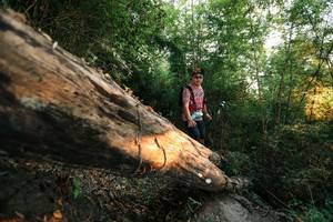 BIB: 
                            <button type="button" onclick="openModal(27948122)" class="btn btn-primary btn-sm float-right btn-popup" data-toggle="modal" data-target=".modal-high-quality">
                        <i class="fas fa-shopping-cart"></i> Add to Cart
                    </button>
                                            <button type="button" onclick="isThisMe(27948122, true)" class="btn btn-success btn-sm float-right btn-popup btn-isme hidden" data-toggle="tooltip" data-placement="bottom" title="นี่คือรูปของคุณใช่ไหม คลิกที่นี่เพื่อเอาเข้าอัลบั้ม">
                        <i class="fas fa-plus"></i> Add to album
                    </button>
                    <button type="button" onclick="isThisMe(27948122, false)" class="btn btn-warning btn-sm float-right btn-popup btn-isnotme hidden">
                        <i class="fas fa-ban"></i> Remove from album
                    </button>