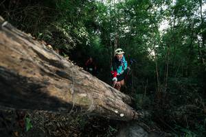 BIB: 
                            <button type="button" onclick="openModal(27959469)" class="btn btn-primary btn-sm float-right btn-popup" data-toggle="modal" data-target=".modal-high-quality">
                        <i class="fas fa-shopping-cart"></i> Add to Cart
                    </button>
                                            <button type="button" onclick="isThisMe(27959469, true)" class="btn btn-success btn-sm float-right btn-popup btn-isme hidden" data-toggle="tooltip" data-placement="bottom" title="นี่คือรูปของคุณใช่ไหม คลิกที่นี่เพื่อเอาเข้าอัลบั้ม">
                        <i class="fas fa-plus"></i> Add to album
                    </button>
                    <button type="button" onclick="isThisMe(27959469, false)" class="btn btn-warning btn-sm float-right btn-popup btn-isnotme hidden">
                        <i class="fas fa-ban"></i> Remove from album
                    </button>