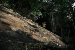 BIB: 
                            <button type="button" onclick="openModal(27961182)" class="btn btn-primary btn-sm float-right btn-popup" data-toggle="modal" data-target=".modal-high-quality">
                        <i class="fas fa-shopping-cart"></i> Add to Cart
                    </button>
                                            <button type="button" onclick="isThisMe(27961182, true)" class="btn btn-success btn-sm float-right btn-popup btn-isme hidden" data-toggle="tooltip" data-placement="bottom" title="นี่คือรูปของคุณใช่ไหม คลิกที่นี่เพื่อเอาเข้าอัลบั้ม">
                        <i class="fas fa-plus"></i> Add to album
                    </button>
                    <button type="button" onclick="isThisMe(27961182, false)" class="btn btn-warning btn-sm float-right btn-popup btn-isnotme hidden">
                        <i class="fas fa-ban"></i> Remove from album
                    </button>