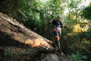 BIB: 
                            <button type="button" onclick="openModal(27941358)" class="btn btn-primary btn-sm float-right btn-popup" data-toggle="modal" data-target=".modal-high-quality">
                        <i class="fas fa-shopping-cart"></i> Add to Cart
                    </button>
                                            <button type="button" onclick="isThisMe(27941358, true)" class="btn btn-success btn-sm float-right btn-popup btn-isme hidden" data-toggle="tooltip" data-placement="bottom" title="นี่คือรูปของคุณใช่ไหม คลิกที่นี่เพื่อเอาเข้าอัลบั้ม">
                        <i class="fas fa-plus"></i> Add to album
                    </button>
                    <button type="button" onclick="isThisMe(27941358, false)" class="btn btn-warning btn-sm float-right btn-popup btn-isnotme hidden">
                        <i class="fas fa-ban"></i> Remove from album
                    </button>