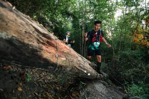 BIB: 
                            <button type="button" onclick="openModal(27958594)" class="btn btn-primary btn-sm float-right btn-popup" data-toggle="modal" data-target=".modal-high-quality">
                        <i class="fas fa-shopping-cart"></i> Add to Cart
                    </button>
                                            <button type="button" onclick="isThisMe(27958594, true)" class="btn btn-success btn-sm float-right btn-popup btn-isme hidden" data-toggle="tooltip" data-placement="bottom" title="นี่คือรูปของคุณใช่ไหม คลิกที่นี่เพื่อเอาเข้าอัลบั้ม">
                        <i class="fas fa-plus"></i> Add to album
                    </button>
                    <button type="button" onclick="isThisMe(27958594, false)" class="btn btn-warning btn-sm float-right btn-popup btn-isnotme hidden">
                        <i class="fas fa-ban"></i> Remove from album
                    </button>