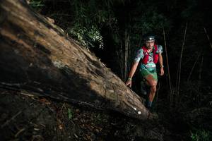 BIB: 
                            <button type="button" onclick="openModal(27965023)" class="btn btn-primary btn-sm float-right btn-popup" data-toggle="modal" data-target=".modal-high-quality">
                        <i class="fas fa-shopping-cart"></i> Add to Cart
                    </button>
                                            <button type="button" onclick="isThisMe(27965023, true)" class="btn btn-success btn-sm float-right btn-popup btn-isme hidden" data-toggle="tooltip" data-placement="bottom" title="นี่คือรูปของคุณใช่ไหม คลิกที่นี่เพื่อเอาเข้าอัลบั้ม">
                        <i class="fas fa-plus"></i> Add to album
                    </button>
                    <button type="button" onclick="isThisMe(27965023, false)" class="btn btn-warning btn-sm float-right btn-popup btn-isnotme hidden">
                        <i class="fas fa-ban"></i> Remove from album
                    </button>