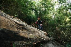 BIB: 
                            <button type="button" onclick="openModal(27935367)" class="btn btn-primary btn-sm float-right btn-popup" data-toggle="modal" data-target=".modal-high-quality">
                        <i class="fas fa-shopping-cart"></i> Add to Cart
                    </button>
                                            <button type="button" onclick="isThisMe(27935367, true)" class="btn btn-success btn-sm float-right btn-popup btn-isme hidden" data-toggle="tooltip" data-placement="bottom" title="นี่คือรูปของคุณใช่ไหม คลิกที่นี่เพื่อเอาเข้าอัลบั้ม">
                        <i class="fas fa-plus"></i> Add to album
                    </button>
                    <button type="button" onclick="isThisMe(27935367, false)" class="btn btn-warning btn-sm float-right btn-popup btn-isnotme hidden">
                        <i class="fas fa-ban"></i> Remove from album
                    </button>