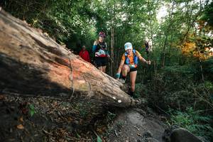 BIB: 
                            <button type="button" onclick="openModal(27958440)" class="btn btn-primary btn-sm float-right btn-popup" data-toggle="modal" data-target=".modal-high-quality">
                        <i class="fas fa-shopping-cart"></i> Add to Cart
                    </button>
                                            <button type="button" onclick="isThisMe(27958440, true)" class="btn btn-success btn-sm float-right btn-popup btn-isme hidden" data-toggle="tooltip" data-placement="bottom" title="นี่คือรูปของคุณใช่ไหม คลิกที่นี่เพื่อเอาเข้าอัลบั้ม">
                        <i class="fas fa-plus"></i> Add to album
                    </button>
                    <button type="button" onclick="isThisMe(27958440, false)" class="btn btn-warning btn-sm float-right btn-popup btn-isnotme hidden">
                        <i class="fas fa-ban"></i> Remove from album
                    </button>