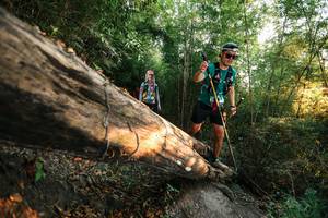 BIB: 
                            <button type="button" onclick="openModal(27943316)" class="btn btn-primary btn-sm float-right btn-popup" data-toggle="modal" data-target=".modal-high-quality">
                        <i class="fas fa-shopping-cart"></i> Add to Cart
                    </button>
                                            <button type="button" onclick="isThisMe(27943316, true)" class="btn btn-success btn-sm float-right btn-popup btn-isme hidden" data-toggle="tooltip" data-placement="bottom" title="นี่คือรูปของคุณใช่ไหม คลิกที่นี่เพื่อเอาเข้าอัลบั้ม">
                        <i class="fas fa-plus"></i> Add to album
                    </button>
                    <button type="button" onclick="isThisMe(27943316, false)" class="btn btn-warning btn-sm float-right btn-popup btn-isnotme hidden">
                        <i class="fas fa-ban"></i> Remove from album
                    </button>