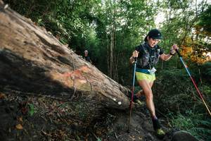 BIB: 
                            <button type="button" onclick="openModal(27958548)" class="btn btn-primary btn-sm float-right btn-popup" data-toggle="modal" data-target=".modal-high-quality">
                        <i class="fas fa-shopping-cart"></i> Add to Cart
                    </button>
                                            <button type="button" onclick="isThisMe(27958548, true)" class="btn btn-success btn-sm float-right btn-popup btn-isme hidden" data-toggle="tooltip" data-placement="bottom" title="นี่คือรูปของคุณใช่ไหม คลิกที่นี่เพื่อเอาเข้าอัลบั้ม">
                        <i class="fas fa-plus"></i> Add to album
                    </button>
                    <button type="button" onclick="isThisMe(27958548, false)" class="btn btn-warning btn-sm float-right btn-popup btn-isnotme hidden">
                        <i class="fas fa-ban"></i> Remove from album
                    </button>