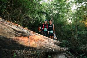 BIB: 
                            <button type="button" onclick="openModal(27958072)" class="btn btn-primary btn-sm float-right btn-popup" data-toggle="modal" data-target=".modal-high-quality">
                        <i class="fas fa-shopping-cart"></i> Add to Cart
                    </button>
                                            <button type="button" onclick="isThisMe(27958072, true)" class="btn btn-success btn-sm float-right btn-popup btn-isme hidden" data-toggle="tooltip" data-placement="bottom" title="นี่คือรูปของคุณใช่ไหม คลิกที่นี่เพื่อเอาเข้าอัลบั้ม">
                        <i class="fas fa-plus"></i> Add to album
                    </button>
                    <button type="button" onclick="isThisMe(27958072, false)" class="btn btn-warning btn-sm float-right btn-popup btn-isnotme hidden">
                        <i class="fas fa-ban"></i> Remove from album
                    </button>