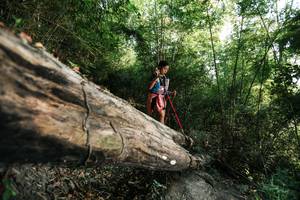 BIB: 
                            <button type="button" onclick="openModal(27934596)" class="btn btn-primary btn-sm float-right btn-popup" data-toggle="modal" data-target=".modal-high-quality">
                        <i class="fas fa-shopping-cart"></i> Add to Cart
                    </button>
                                            <button type="button" onclick="isThisMe(27934596, true)" class="btn btn-success btn-sm float-right btn-popup btn-isme hidden" data-toggle="tooltip" data-placement="bottom" title="นี่คือรูปของคุณใช่ไหม คลิกที่นี่เพื่อเอาเข้าอัลบั้ม">
                        <i class="fas fa-plus"></i> Add to album
                    </button>
                    <button type="button" onclick="isThisMe(27934596, false)" class="btn btn-warning btn-sm float-right btn-popup btn-isnotme hidden">
                        <i class="fas fa-ban"></i> Remove from album
                    </button>