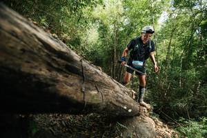 BIB: 
                            <button type="button" onclick="openModal(27965074)" class="btn btn-primary btn-sm float-right btn-popup" data-toggle="modal" data-target=".modal-high-quality">
                        <i class="fas fa-shopping-cart"></i> Add to Cart
                    </button>
                                            <button type="button" onclick="isThisMe(27965074, true)" class="btn btn-success btn-sm float-right btn-popup btn-isme hidden" data-toggle="tooltip" data-placement="bottom" title="นี่คือรูปของคุณใช่ไหม คลิกที่นี่เพื่อเอาเข้าอัลบั้ม">
                        <i class="fas fa-plus"></i> Add to album
                    </button>
                    <button type="button" onclick="isThisMe(27965074, false)" class="btn btn-warning btn-sm float-right btn-popup btn-isnotme hidden">
                        <i class="fas fa-ban"></i> Remove from album
                    </button>