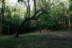 BIB: 
                            <button type="button" onclick="openModal(27968560)" class="btn btn-primary btn-sm float-right btn-popup" data-toggle="modal" data-target=".modal-high-quality">
                        <i class="fas fa-shopping-cart"></i> Add to Cart
                    </button>
                                            <button type="button" onclick="isThisMe(27968560, true)" class="btn btn-success btn-sm float-right btn-popup btn-isme hidden" data-toggle="tooltip" data-placement="bottom" title="นี่คือรูปของคุณใช่ไหม คลิกที่นี่เพื่อเอาเข้าอัลบั้ม">
                        <i class="fas fa-plus"></i> Add to album
                    </button>
                    <button type="button" onclick="isThisMe(27968560, false)" class="btn btn-warning btn-sm float-right btn-popup btn-isnotme hidden">
                        <i class="fas fa-ban"></i> Remove from album
                    </button>