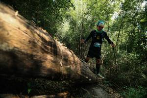 BIB: 
                            <button type="button" onclick="openModal(27959985)" class="btn btn-primary btn-sm float-right btn-popup" data-toggle="modal" data-target=".modal-high-quality">
                        <i class="fas fa-shopping-cart"></i> Add to Cart
                    </button>
                                            <button type="button" onclick="isThisMe(27959985, true)" class="btn btn-success btn-sm float-right btn-popup btn-isme hidden" data-toggle="tooltip" data-placement="bottom" title="นี่คือรูปของคุณใช่ไหม คลิกที่นี่เพื่อเอาเข้าอัลบั้ม">
                        <i class="fas fa-plus"></i> Add to album
                    </button>
                    <button type="button" onclick="isThisMe(27959985, false)" class="btn btn-warning btn-sm float-right btn-popup btn-isnotme hidden">
                        <i class="fas fa-ban"></i> Remove from album
                    </button>