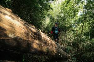 BIB: 
                            <button type="button" onclick="openModal(27959905)" class="btn btn-primary btn-sm float-right btn-popup" data-toggle="modal" data-target=".modal-high-quality">
                        <i class="fas fa-shopping-cart"></i> Add to Cart
                    </button>
                                            <button type="button" onclick="isThisMe(27959905, true)" class="btn btn-success btn-sm float-right btn-popup btn-isme hidden" data-toggle="tooltip" data-placement="bottom" title="นี่คือรูปของคุณใช่ไหม คลิกที่นี่เพื่อเอาเข้าอัลบั้ม">
                        <i class="fas fa-plus"></i> Add to album
                    </button>
                    <button type="button" onclick="isThisMe(27959905, false)" class="btn btn-warning btn-sm float-right btn-popup btn-isnotme hidden">
                        <i class="fas fa-ban"></i> Remove from album
                    </button>