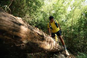 BIB: 
                            <button type="button" onclick="openModal(27961356)" class="btn btn-primary btn-sm float-right btn-popup" data-toggle="modal" data-target=".modal-high-quality">
                        <i class="fas fa-shopping-cart"></i> Add to Cart
                    </button>
                                            <button type="button" onclick="isThisMe(27961356, true)" class="btn btn-success btn-sm float-right btn-popup btn-isme hidden" data-toggle="tooltip" data-placement="bottom" title="นี่คือรูปของคุณใช่ไหม คลิกที่นี่เพื่อเอาเข้าอัลบั้ม">
                        <i class="fas fa-plus"></i> Add to album
                    </button>
                    <button type="button" onclick="isThisMe(27961356, false)" class="btn btn-warning btn-sm float-right btn-popup btn-isnotme hidden">
                        <i class="fas fa-ban"></i> Remove from album
                    </button>