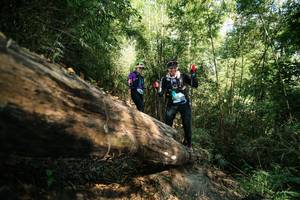 BIB: 
                            <button type="button" onclick="openModal(27959131)" class="btn btn-primary btn-sm float-right btn-popup" data-toggle="modal" data-target=".modal-high-quality">
                        <i class="fas fa-shopping-cart"></i> Add to Cart
                    </button>
                                            <button type="button" onclick="isThisMe(27959131, true)" class="btn btn-success btn-sm float-right btn-popup btn-isme hidden" data-toggle="tooltip" data-placement="bottom" title="นี่คือรูปของคุณใช่ไหม คลิกที่นี่เพื่อเอาเข้าอัลบั้ม">
                        <i class="fas fa-plus"></i> Add to album
                    </button>
                    <button type="button" onclick="isThisMe(27959131, false)" class="btn btn-warning btn-sm float-right btn-popup btn-isnotme hidden">
                        <i class="fas fa-ban"></i> Remove from album
                    </button>