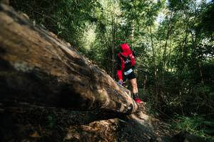 BIB: 
                            <button type="button" onclick="openModal(27963032)" class="btn btn-primary btn-sm float-right btn-popup" data-toggle="modal" data-target=".modal-high-quality">
                        <i class="fas fa-shopping-cart"></i> Add to Cart
                    </button>
                                            <button type="button" onclick="isThisMe(27963032, true)" class="btn btn-success btn-sm float-right btn-popup btn-isme hidden" data-toggle="tooltip" data-placement="bottom" title="นี่คือรูปของคุณใช่ไหม คลิกที่นี่เพื่อเอาเข้าอัลบั้ม">
                        <i class="fas fa-plus"></i> Add to album
                    </button>
                    <button type="button" onclick="isThisMe(27963032, false)" class="btn btn-warning btn-sm float-right btn-popup btn-isnotme hidden">
                        <i class="fas fa-ban"></i> Remove from album
                    </button>