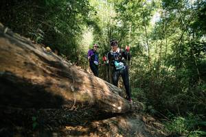 BIB: 
                            <button type="button" onclick="openModal(27959134)" class="btn btn-primary btn-sm float-right btn-popup" data-toggle="modal" data-target=".modal-high-quality">
                        <i class="fas fa-shopping-cart"></i> Add to Cart
                    </button>
                                            <button type="button" onclick="isThisMe(27959134, true)" class="btn btn-success btn-sm float-right btn-popup btn-isme hidden" data-toggle="tooltip" data-placement="bottom" title="นี่คือรูปของคุณใช่ไหม คลิกที่นี่เพื่อเอาเข้าอัลบั้ม">
                        <i class="fas fa-plus"></i> Add to album
                    </button>
                    <button type="button" onclick="isThisMe(27959134, false)" class="btn btn-warning btn-sm float-right btn-popup btn-isnotme hidden">
                        <i class="fas fa-ban"></i> Remove from album
                    </button>