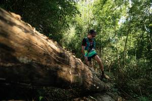 BIB: 
                            <button type="button" onclick="openModal(27959791)" class="btn btn-primary btn-sm float-right btn-popup" data-toggle="modal" data-target=".modal-high-quality">
                        <i class="fas fa-shopping-cart"></i> Add to Cart
                    </button>
                                            <button type="button" onclick="isThisMe(27959791, true)" class="btn btn-success btn-sm float-right btn-popup btn-isme hidden" data-toggle="tooltip" data-placement="bottom" title="นี่คือรูปของคุณใช่ไหม คลิกที่นี่เพื่อเอาเข้าอัลบั้ม">
                        <i class="fas fa-plus"></i> Add to album
                    </button>
                    <button type="button" onclick="isThisMe(27959791, false)" class="btn btn-warning btn-sm float-right btn-popup btn-isnotme hidden">
                        <i class="fas fa-ban"></i> Remove from album
                    </button>